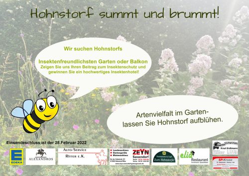 hohnstorf-summt-und-brummt1 hohnstorf-summt-und-brummt1